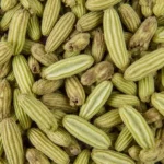 Fennel Seeds